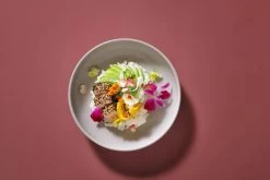 Palmer Serviesset Sandy Loam Stoneware 6-persoons 24-delig Grijs -Korting Op Tafelgerei 1200x800 105