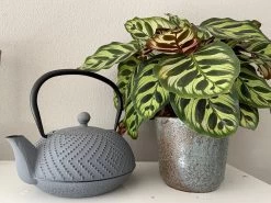 Bredemeijer Theepot Fujian 1.2L Met Filter Warm Grijs -Korting Op Tafelgerei 1200x899 5