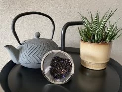 Bredemeijer Theepot Fujian 1.2L Met Filter Warm Grijs -Korting Op Tafelgerei 1200x899 7